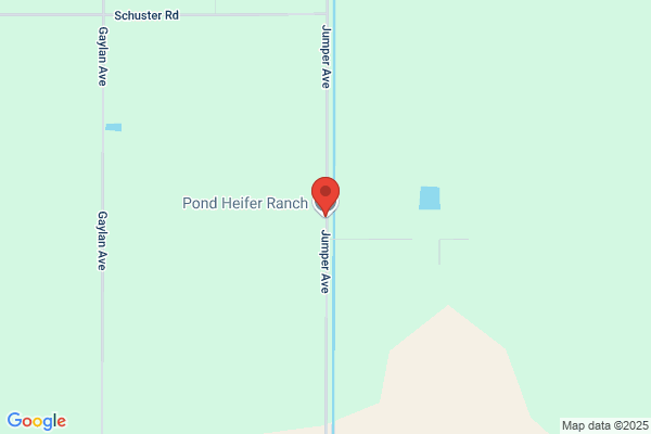 Pond Heifer Ranch