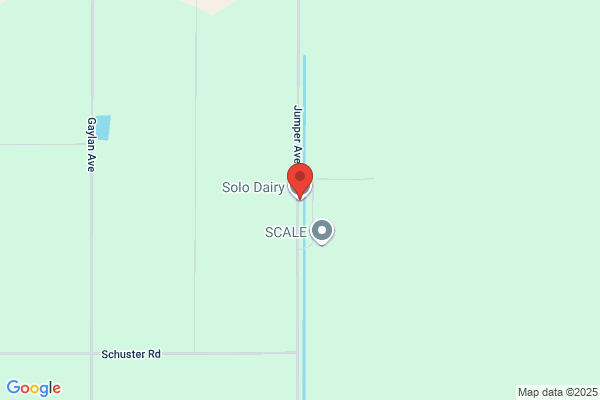 Solo Dairy