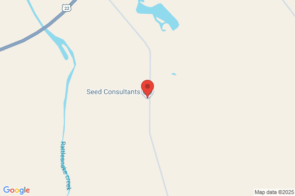 Seed Consultants