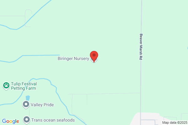 Brymer Nursery