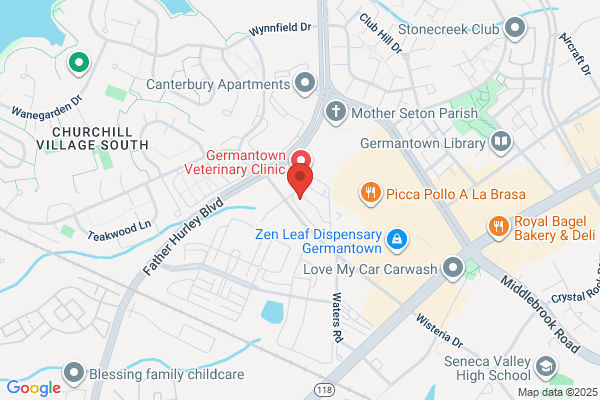 Golden Tag & Title Services