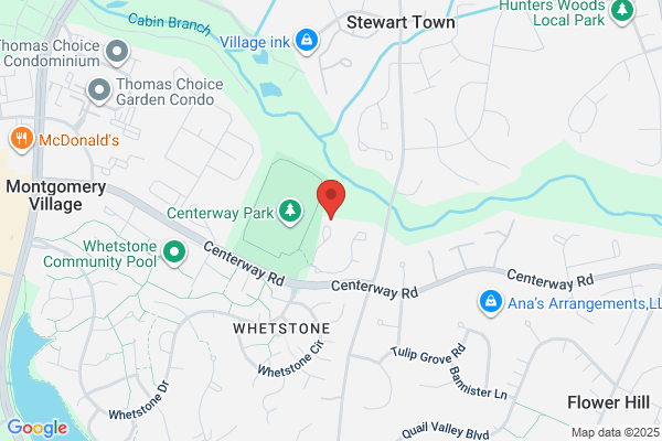 TREE SERVICE MARYLAND
