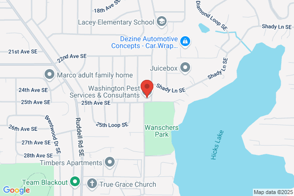 Washington Termite and Pest Control