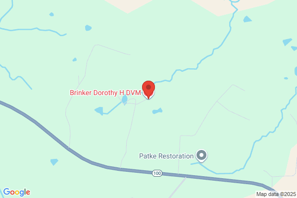 Brinker Dorothy H DVM