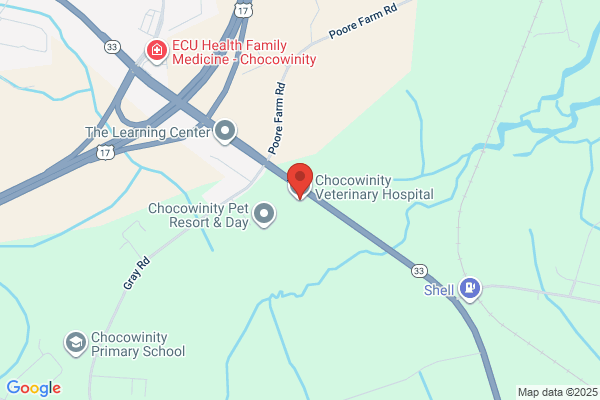 Chocowinity Veterinary Hospital