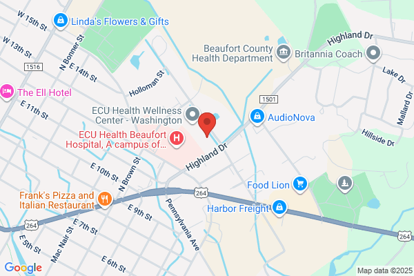Beaufort County Government, Elections
