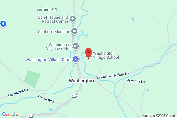 Washington Village School