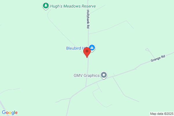 Higgins Dave Motors