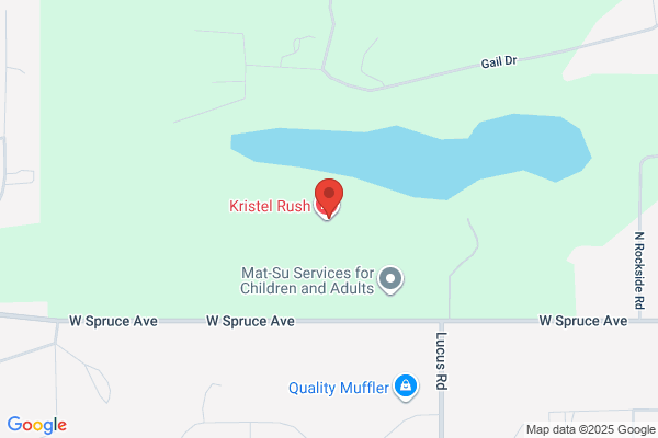 Mat-Su Health Services, Inc.