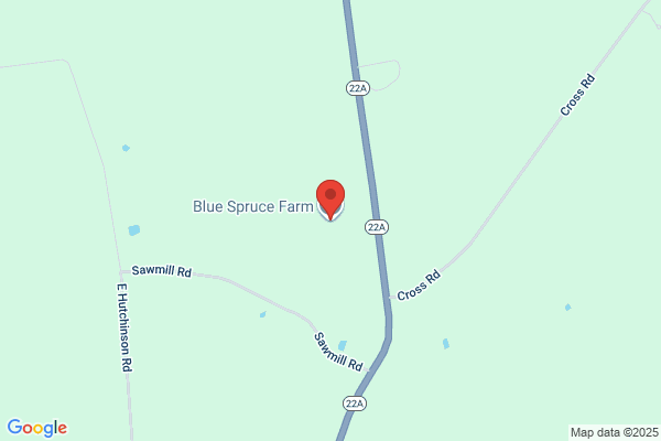 Blue Spruce Farm