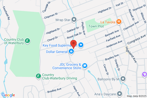 Town Plot Auto Body Inc