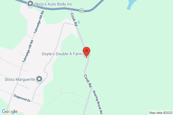 Doyles Double A Farm