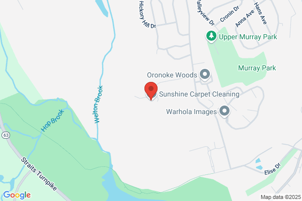 Sunshine Carpet Cleaning