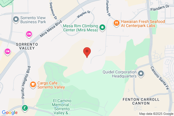 Amalfi Pizza & Catering