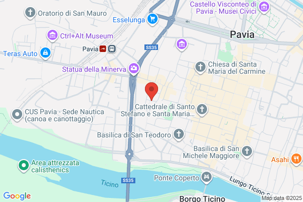 Mapelli Paolo MD
