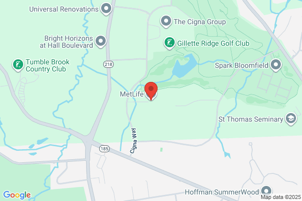 Metlife Auto & Home