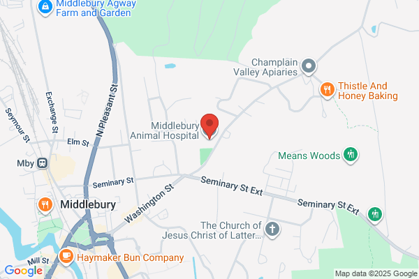 Middlebury Animal Hospital