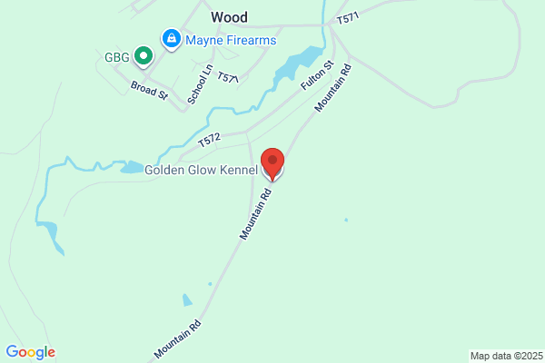 Golden Glow Kennel the