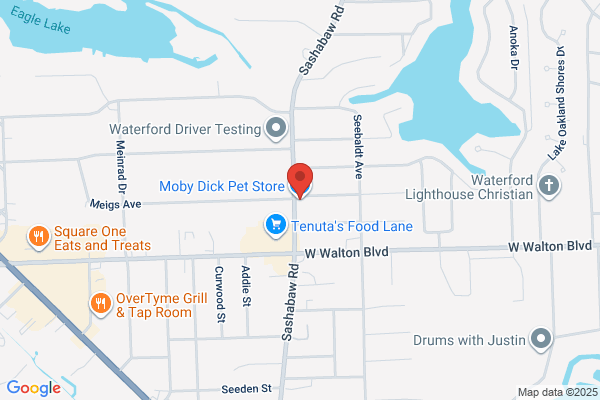 Moby Dick Pet Store