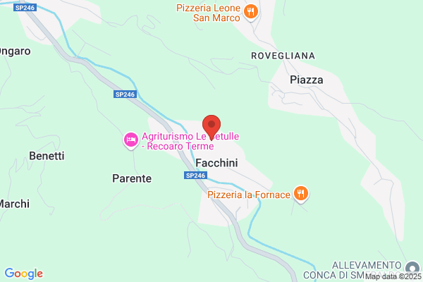 Veneto Services