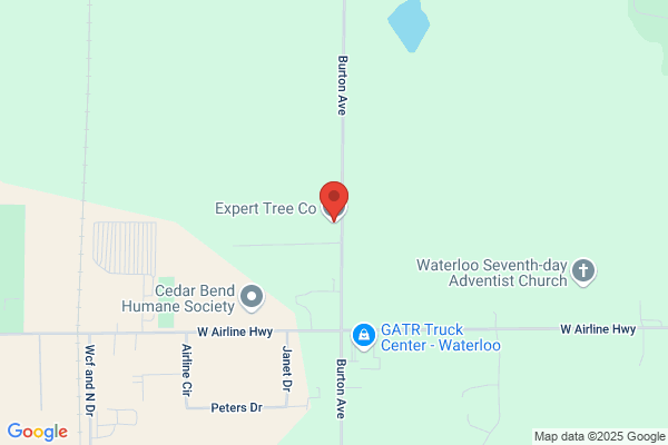 Expert Tree Co