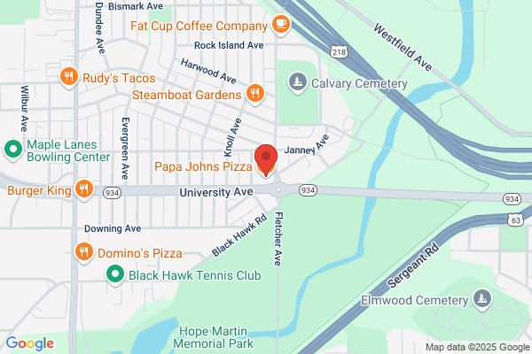 Papa Johns Pizza