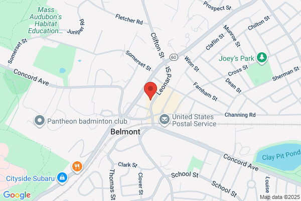 Quick Lift Garage Door Repair of Belmont