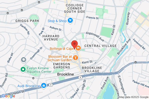 Boston Sports Medicine