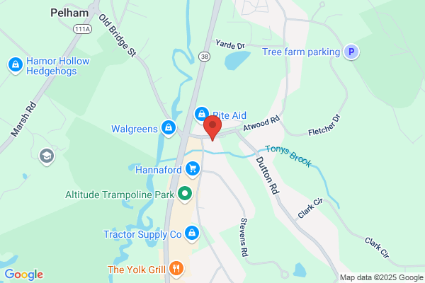 Pelham Healthcare Services