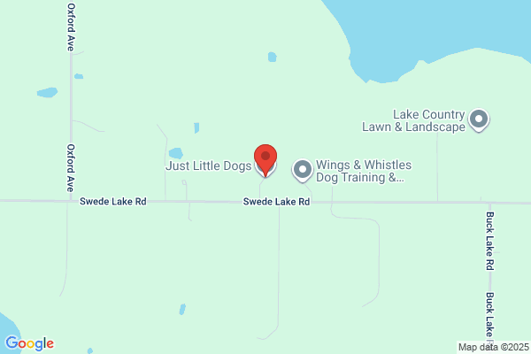 Just Little Dogs