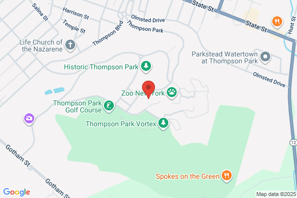 Watertown City of, Parks & Recreation, Thompson Park Pool
