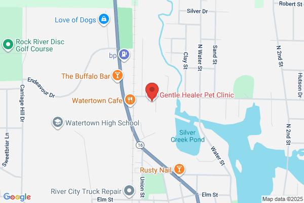 Gentle Healer Pet Clinic LLC