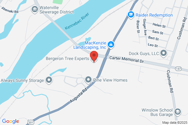 Bergeron Tree Service