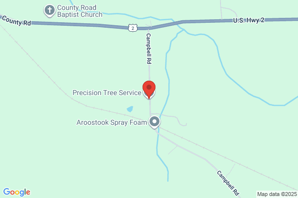Precision Tree & Landscaping