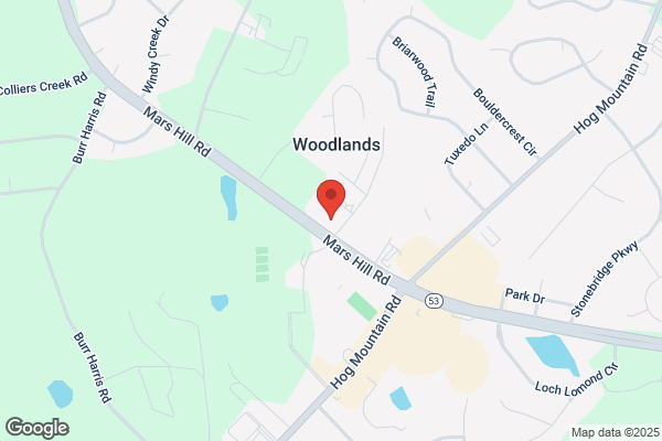 Watkinsville Painters