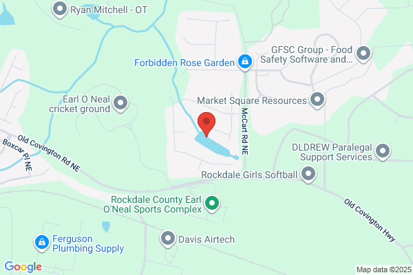 Connection Real Estate Group the