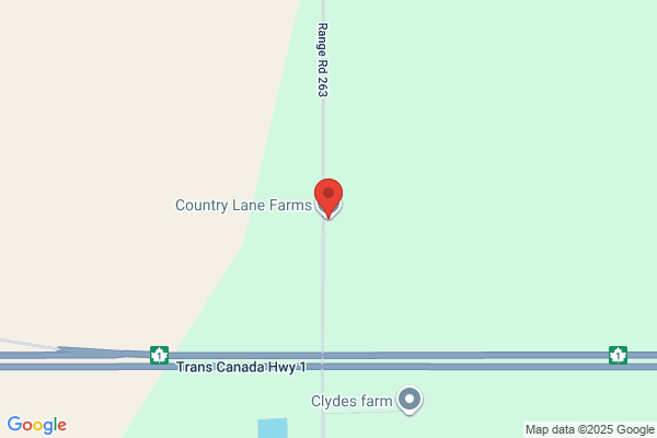 Lanes Poultry