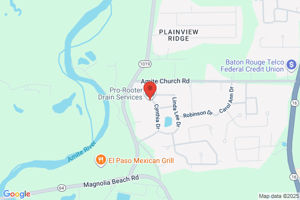 Pro-Rooter Drain Service
