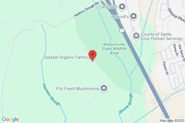 Two Small Farms