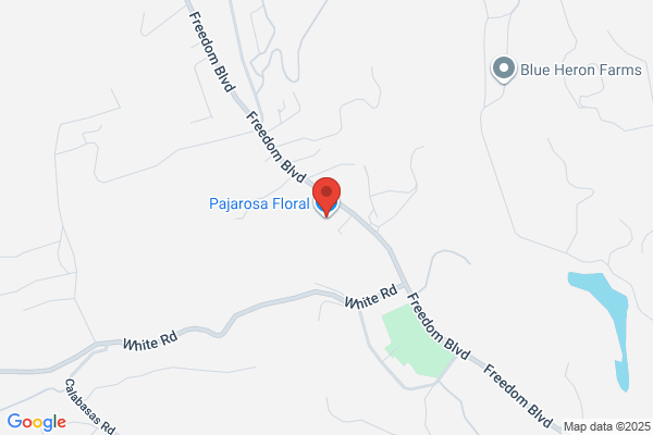 California Pajarosa