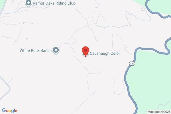 Cavanaugh Color