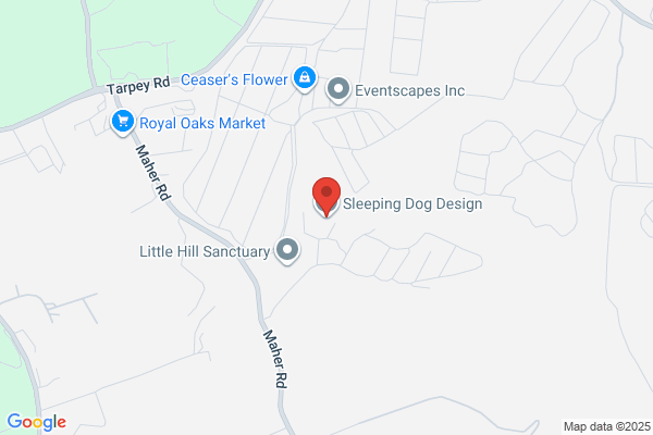 Sleeping Dog Design