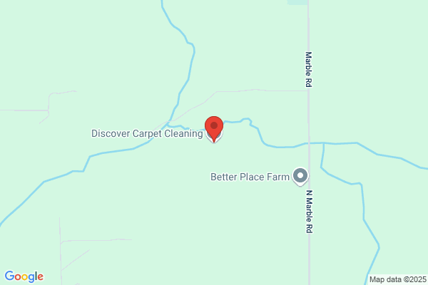 Discover Carpet Cleaning Service