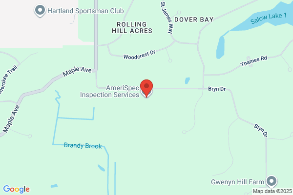 AmeriSpec Inspection Services