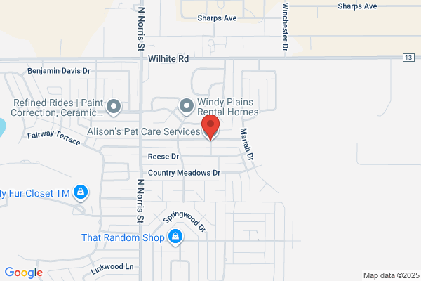 Allison's Animals-Pet Care Services