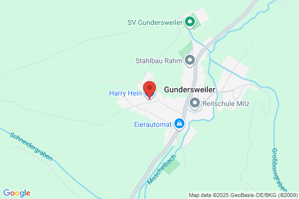 Hein-Werner