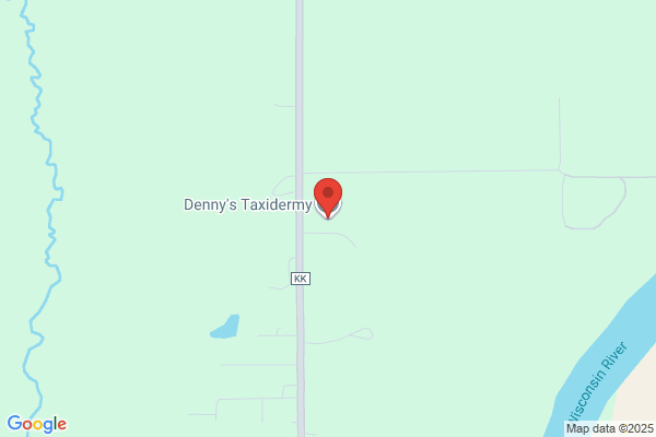 Denny's Taxidermy