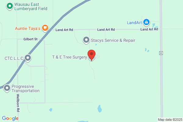 T & E Tree Surgery Inc