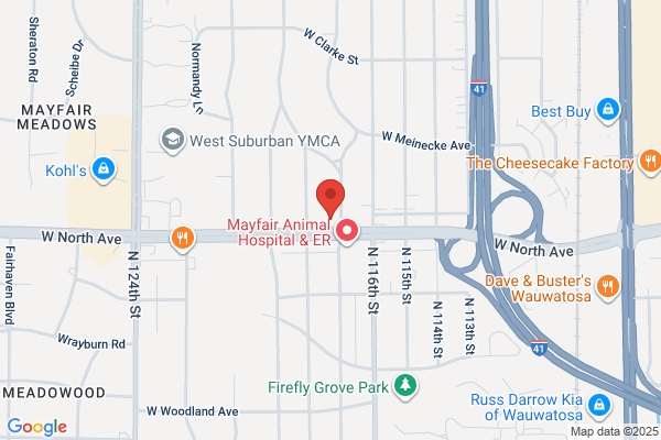 Wisconsin Orthopedic Physical Therapy