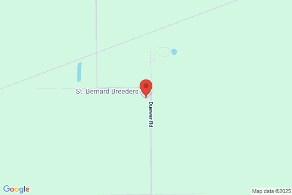 St. Bernard Breeders
